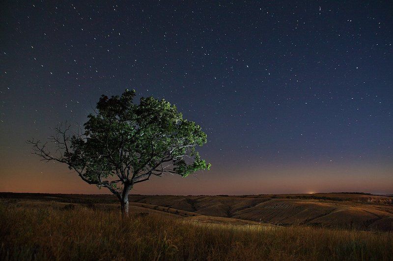 чуыства, отношения Неспокойной Вам ночи )photo preview