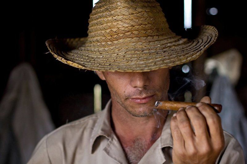 куба, сигары, табак, виньялес гордость Кубыphoto preview