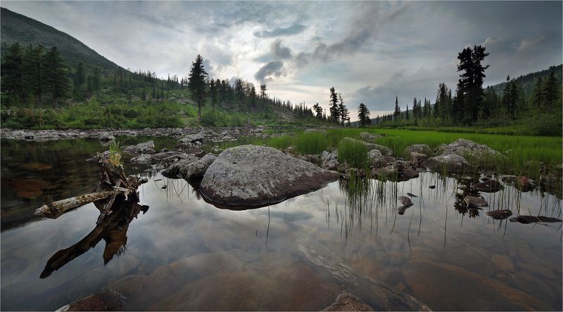 поднебесные, зубья photo preview