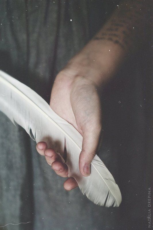 love story, dear diary, butterfly, hands, lovers Dear Diaryphoto preview