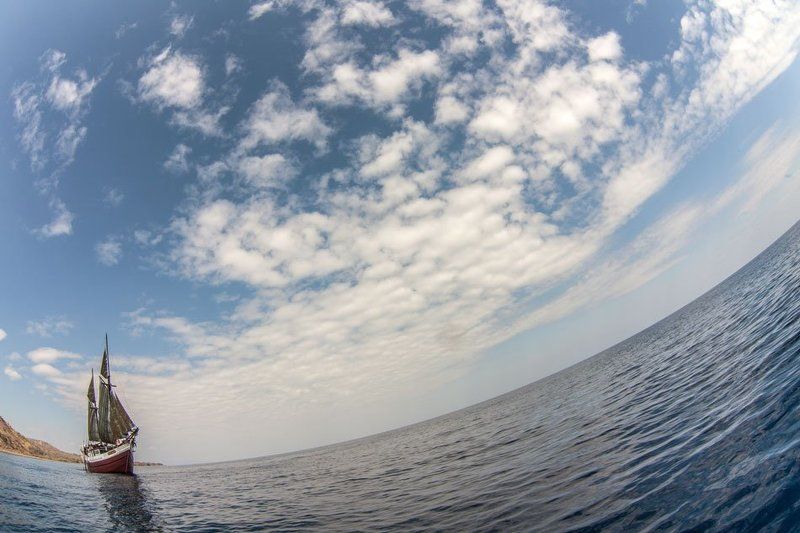 SMY Ondinaphoto preview