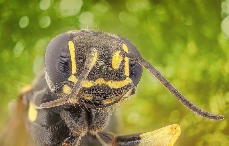 smile ;)photo preview