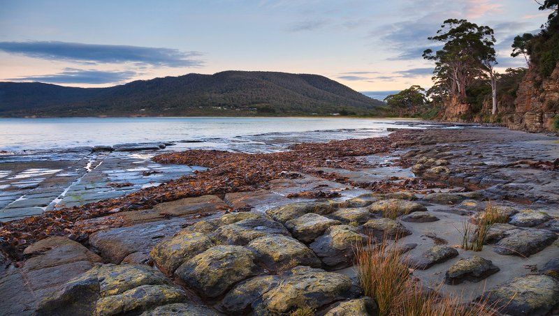 tasmana, tesselated, pavement ***** фото превью