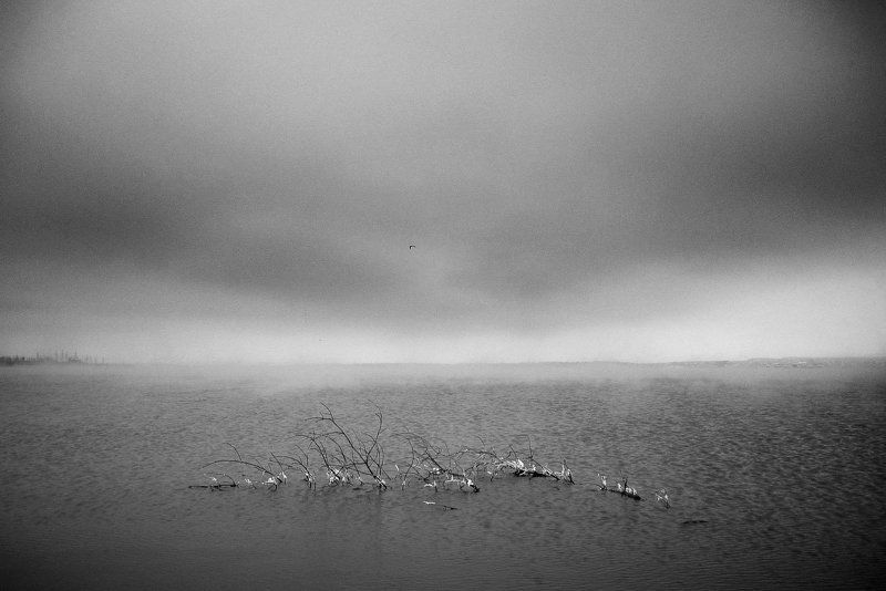 Брошенное сердцеphoto preview