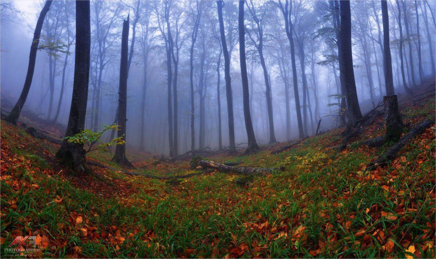 Осень на Кавказе. Автор: Карен осень, кмв, пятигорск, гора, бештау, Карен