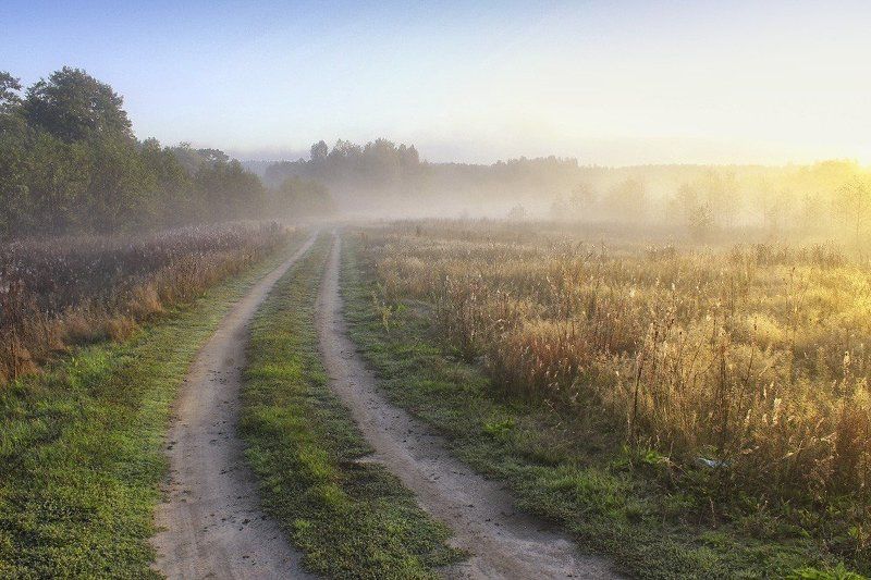 меленки, утро, лес, поле, река, унжа, цветы, туман, солнце, вода, дорога Туманным утром...photo preview