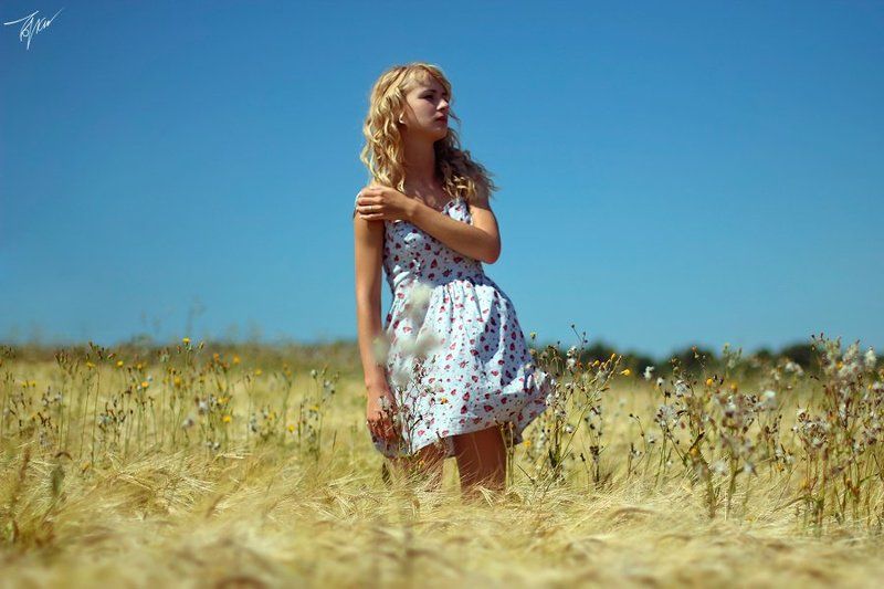 taya, тая, девушка, girl, field, поле, платье, dress, блондинка, blonde, summer, лето Tayaphoto preview