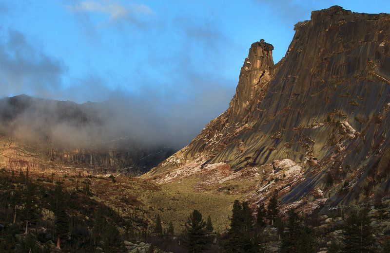 Орешекphoto preview