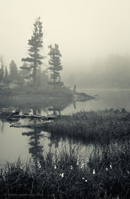 Утро на озере фото превью