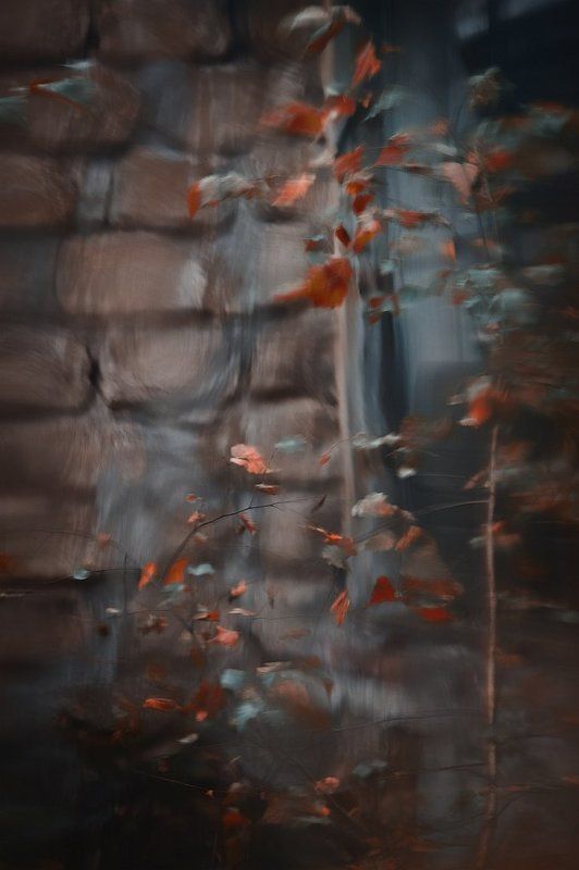 осень.....photo preview