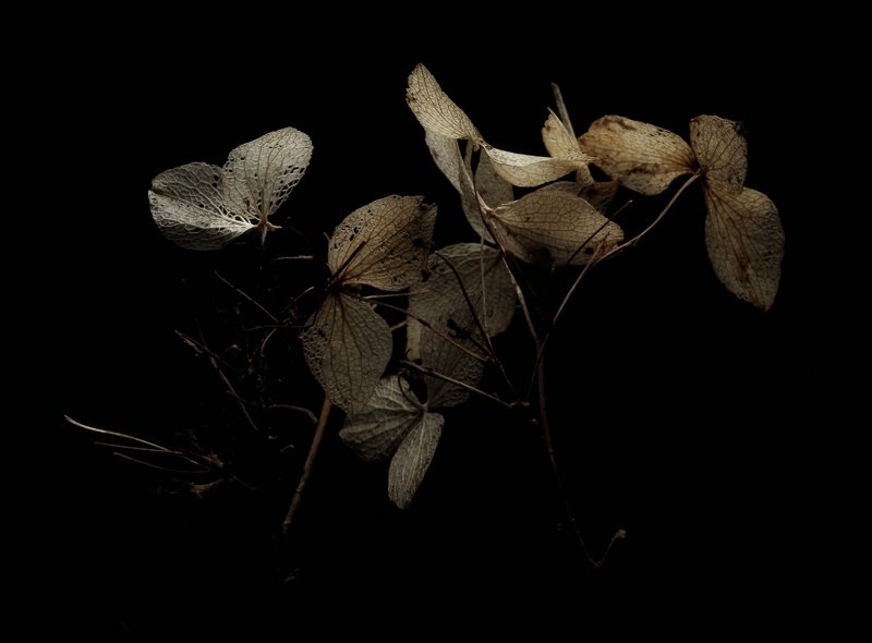 Состониеphoto preview