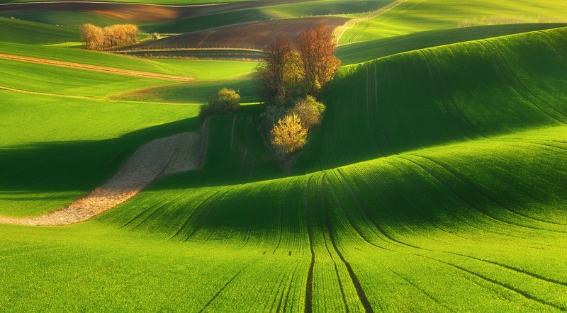 Breath of Spring...photo preview