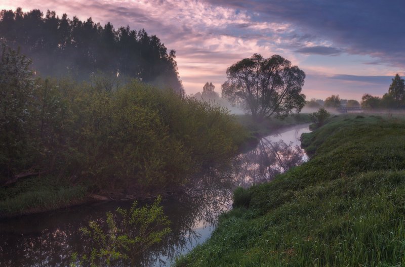 питер, павловск, павловскийпарк, павловский, царскоесело, весна, пе Майским утром. . .photo preview