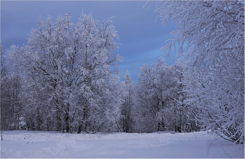 Мороза узоры...photo preview