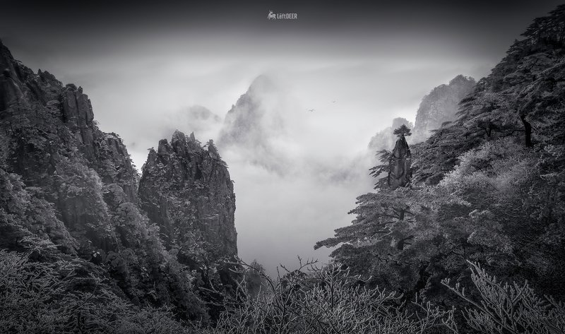 landscapes,Black & White,light shadow,China,Wenzhou,mountain,Mount huangshan Mount Huangshanphoto preview