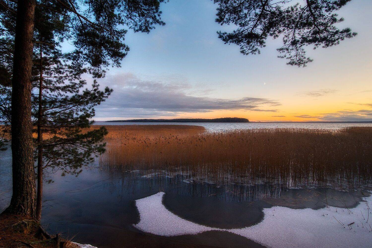 Хорошая попытка, Зима (II). Автор: Федотов Антон , Федотов Антон