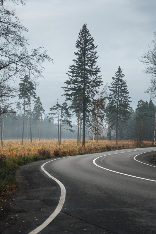 Подмосковная осеньphoto preview