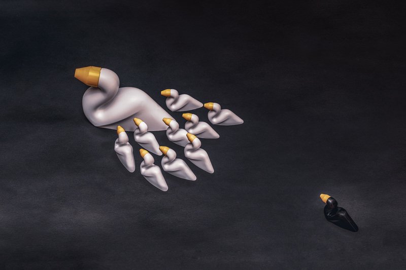 The ugly duckphoto preview