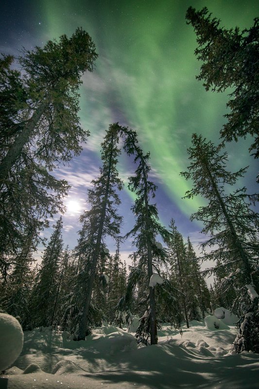 Поцелуй ...photo preview