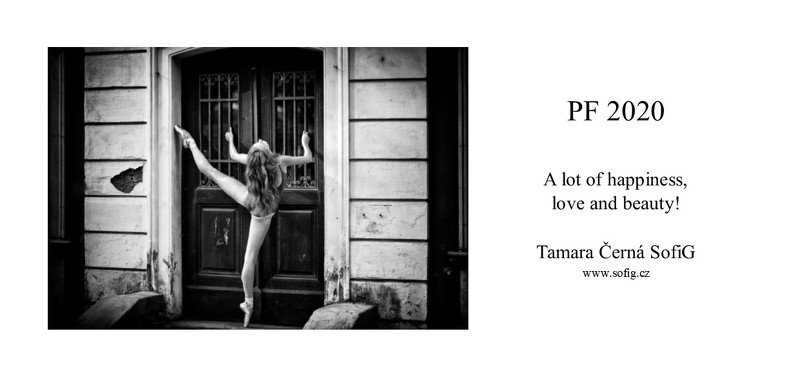 pf PF 2020photo preview