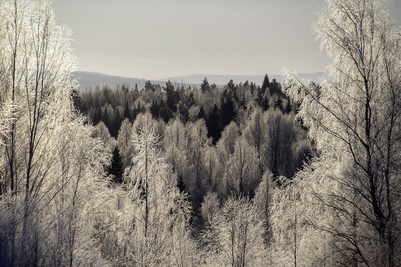 изморозь, урал Серебрянная чашаphoto preview