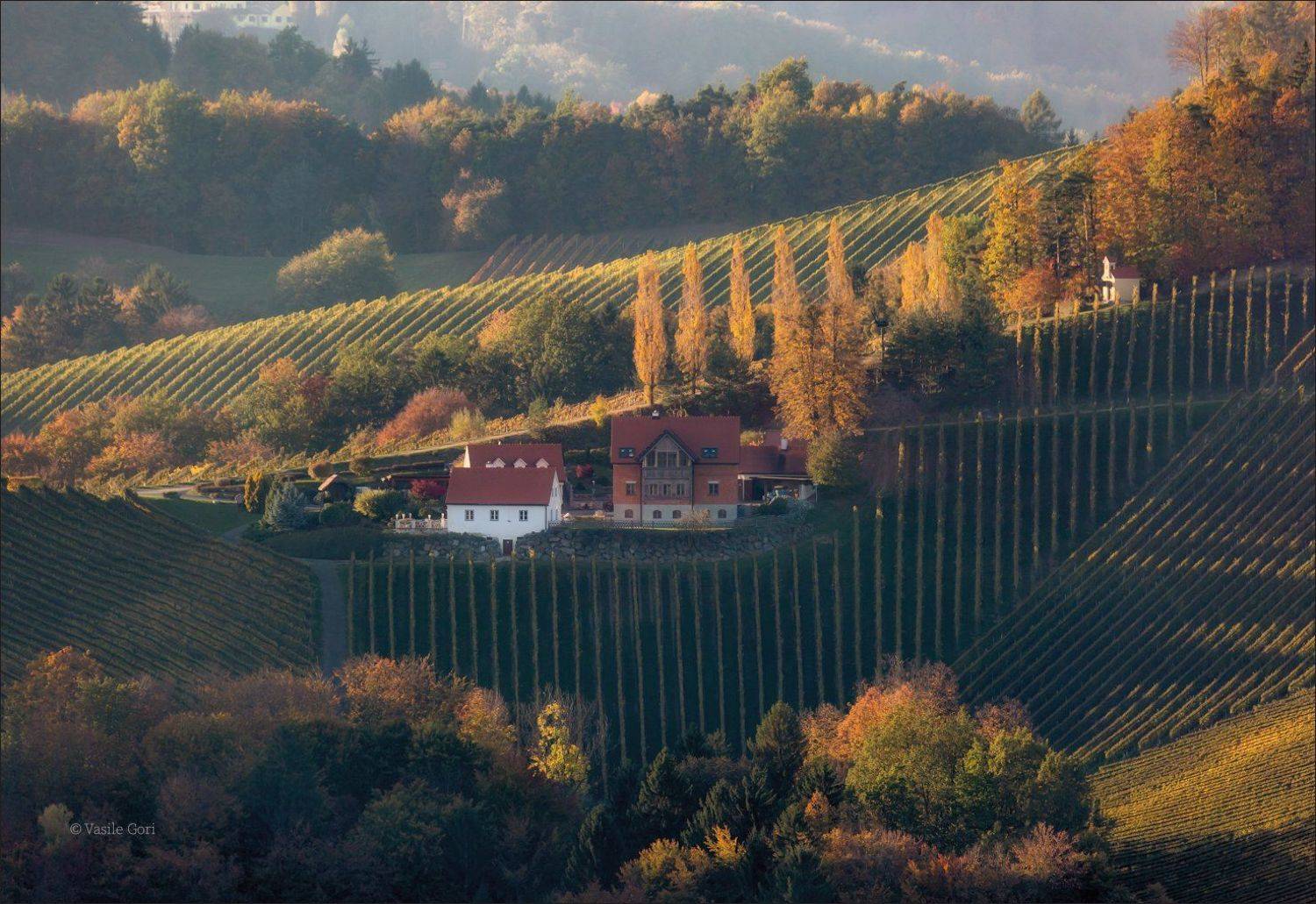 штирия,гамлитц,свет,австрия,gamlitz- sernau,landscape,панорама,осень, Василий Гори