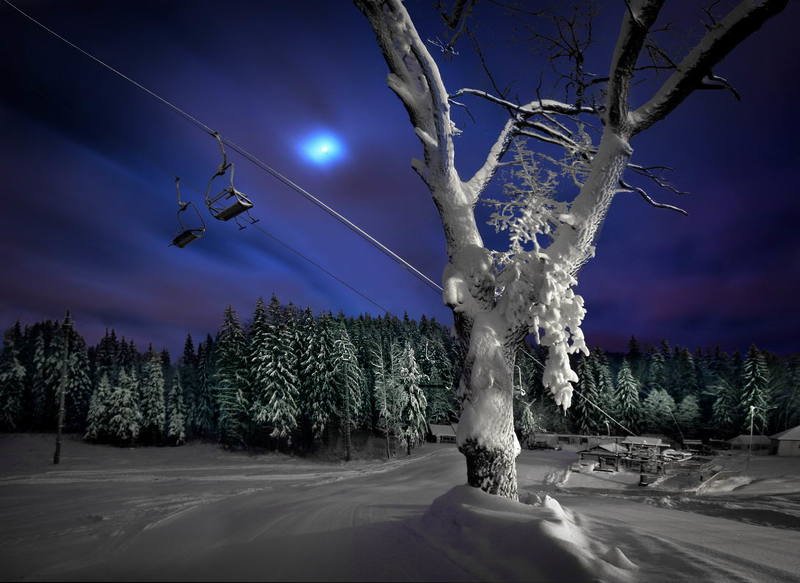 беларусь, звезды, зима, луна, мороз, ночь, снег, логойск, дудутки Белокурый январский тюльпан в лунной ночи. фото превью