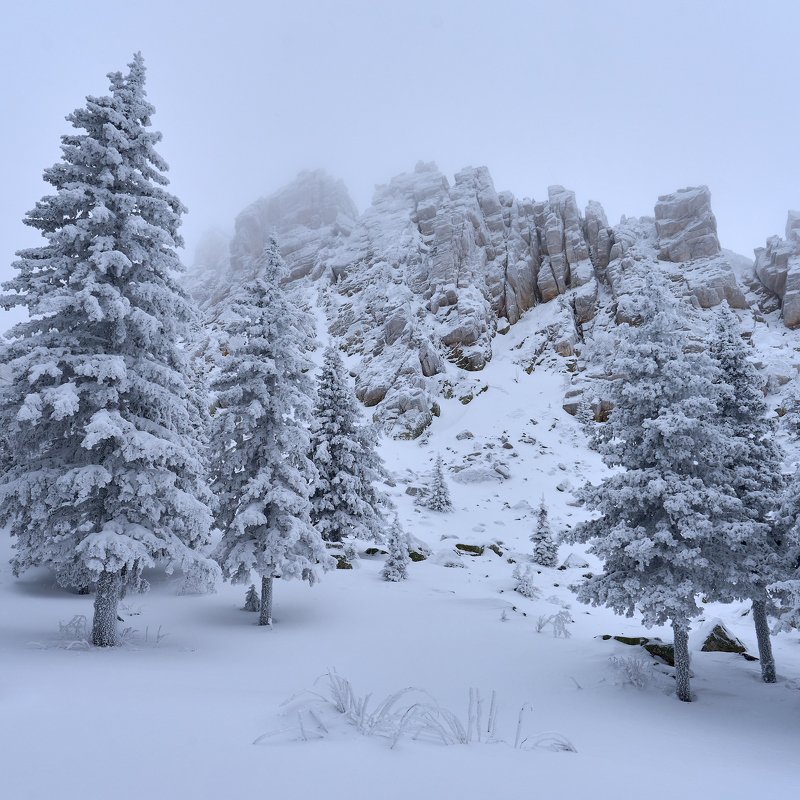 Откликной гребеньphoto preview
