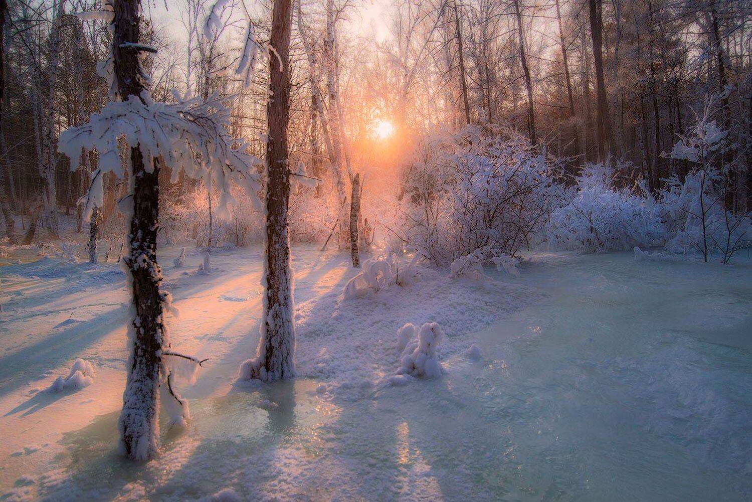 , Сергей Брагин