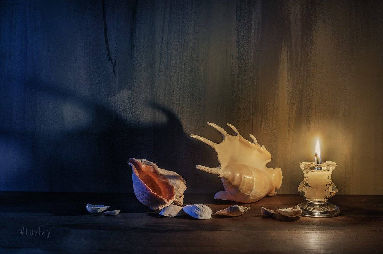 тень, ракушки, свеча, Владимир Тузлай