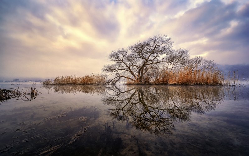 Reflectionphoto preview