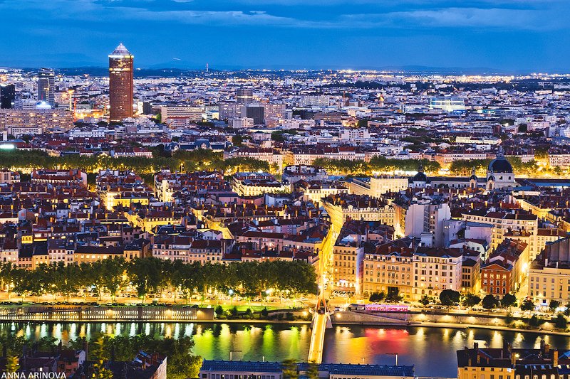 Лионphoto preview