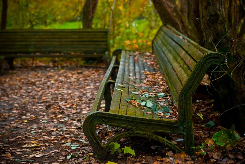 berendey autumnphoto preview