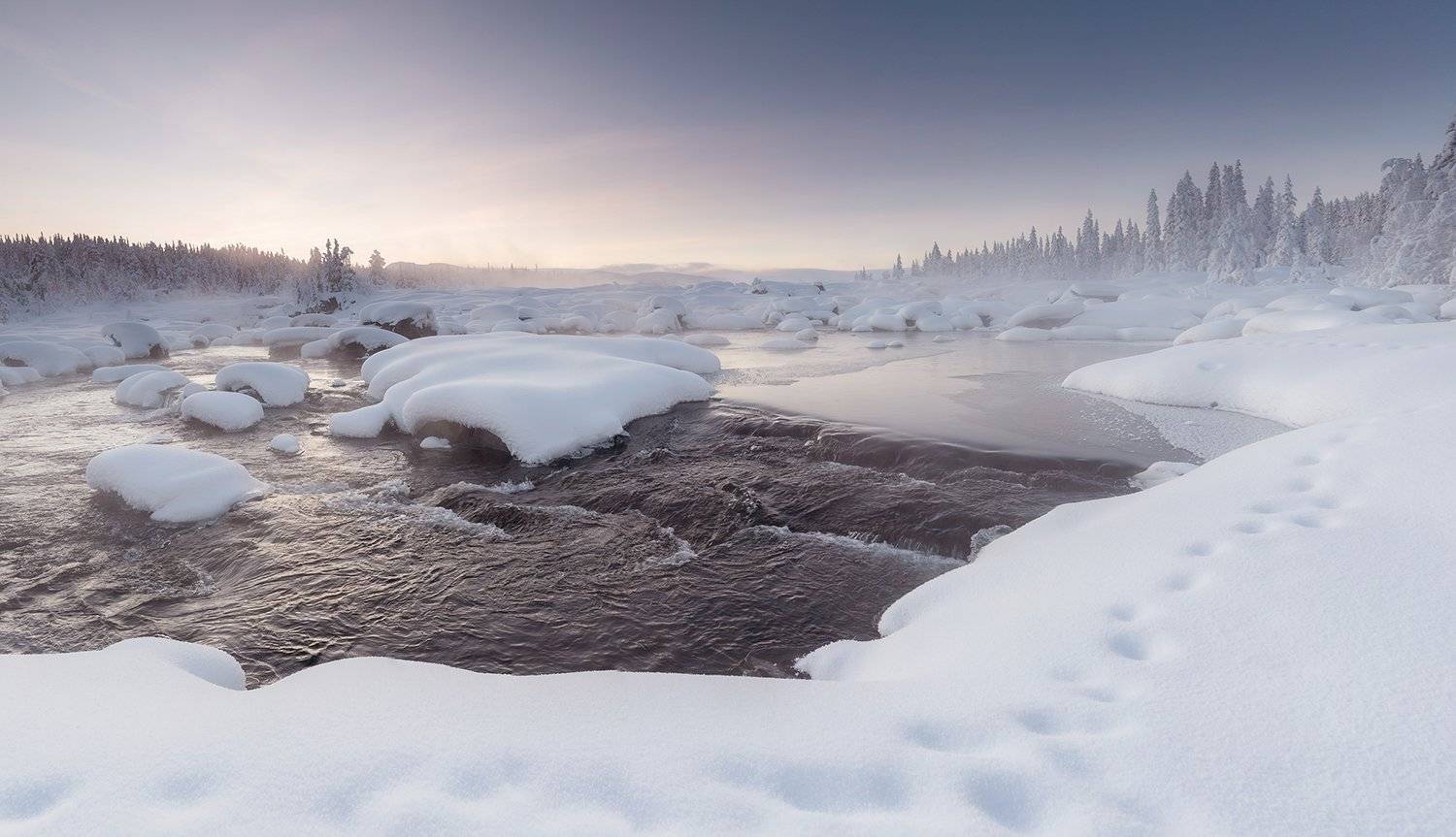 Зимний рассвет. Автор: Казаков Петр Швеция, зима, Лапландия, Казаков Петр