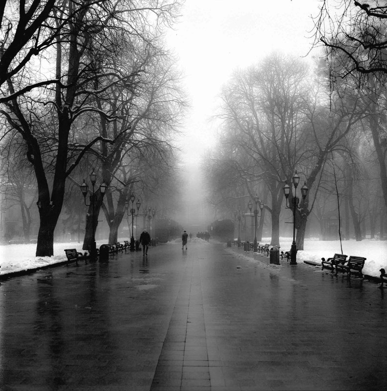 Fog alleyphoto preview