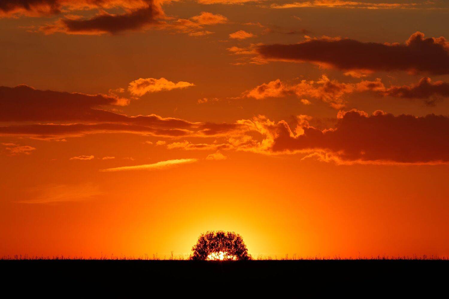 Дом уходящего солнца. Автор: Сергей Сергеев пейзаж, Сергей Сергеев