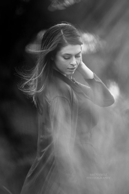 Drag the Shutterphoto preview