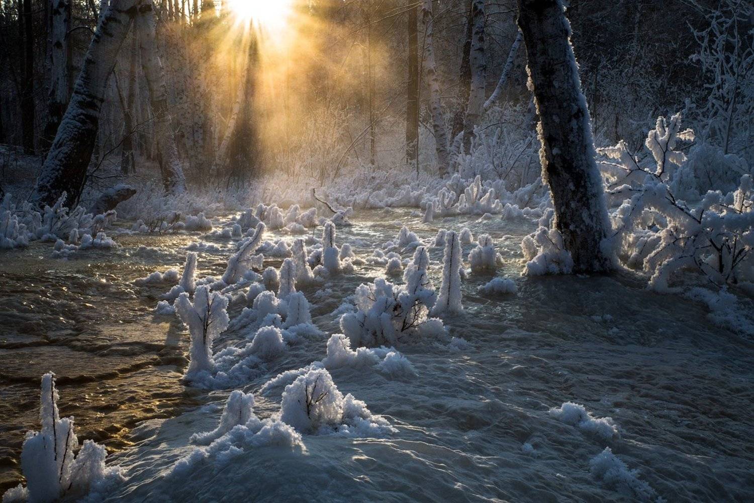 , Комеров Роман