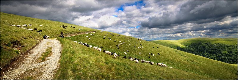 Карпаты, Украина, свидовец Завтрак, обед и ужинphoto preview