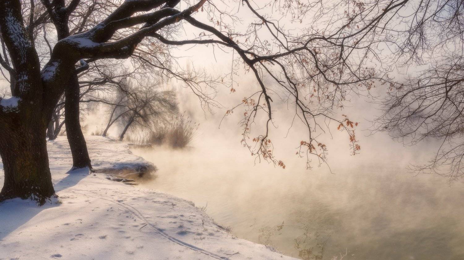 ОСЕННИЕ ЗИМНИЕ ЛИСТЬЯ. Автор: Alexander Plekhanov , Alexander Plekhanov