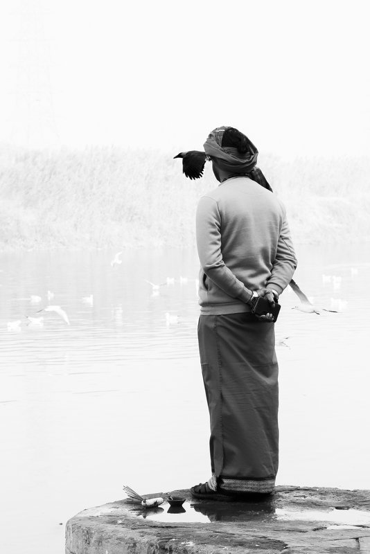 vision Visionphoto preview