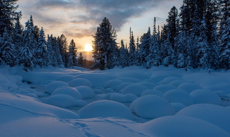 Вечерняя дрёмаphoto preview
