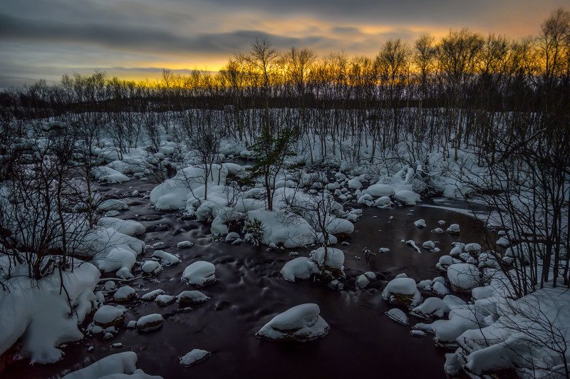 north night cold forest nature landscape kola peninsula forest winter Vaenga river.photo preview