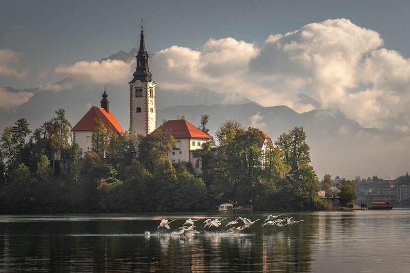 Гуси-Лебедиphoto preview