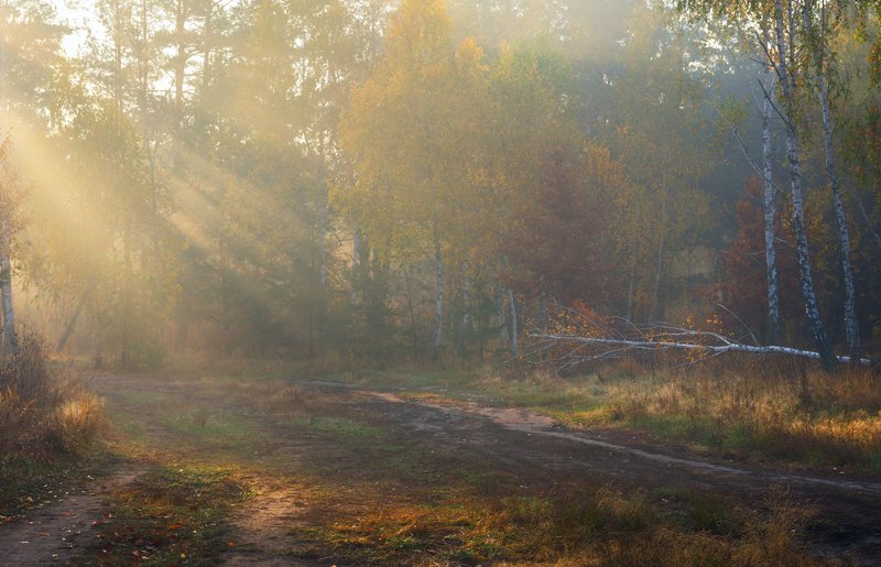луг, осень, октябрь, утро, рассвет, туман, лучи Светапредставление, октябрьphoto preview