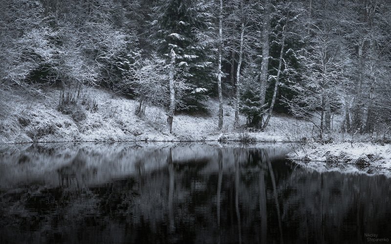 ленинградская область, снег, зима, река, отражение, лес photo preview