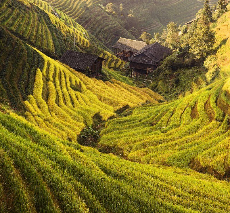 guilin, ping\\\'an, rice, terrace Green waves.photo preview