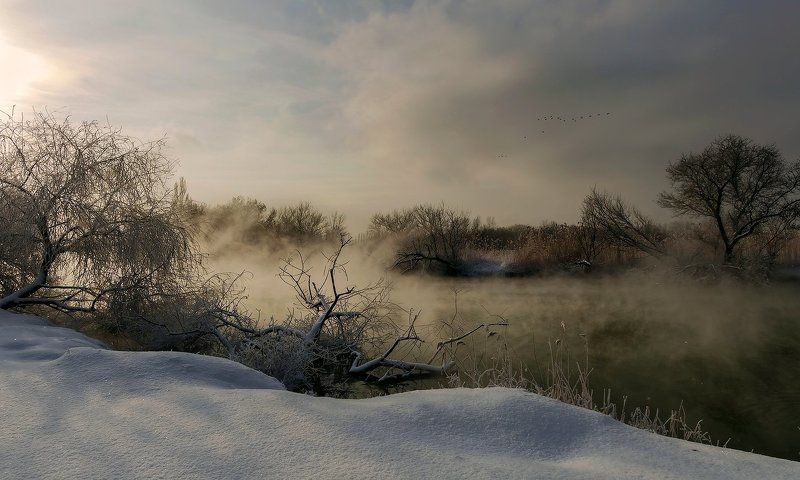 ПАДАЛ ПРОШЛОГОДНИЙ  СНЕГ  или  ПОСЛАЛА МЕНЯ ЖЕНА ЗА ЁЛКОЙ !photo preview