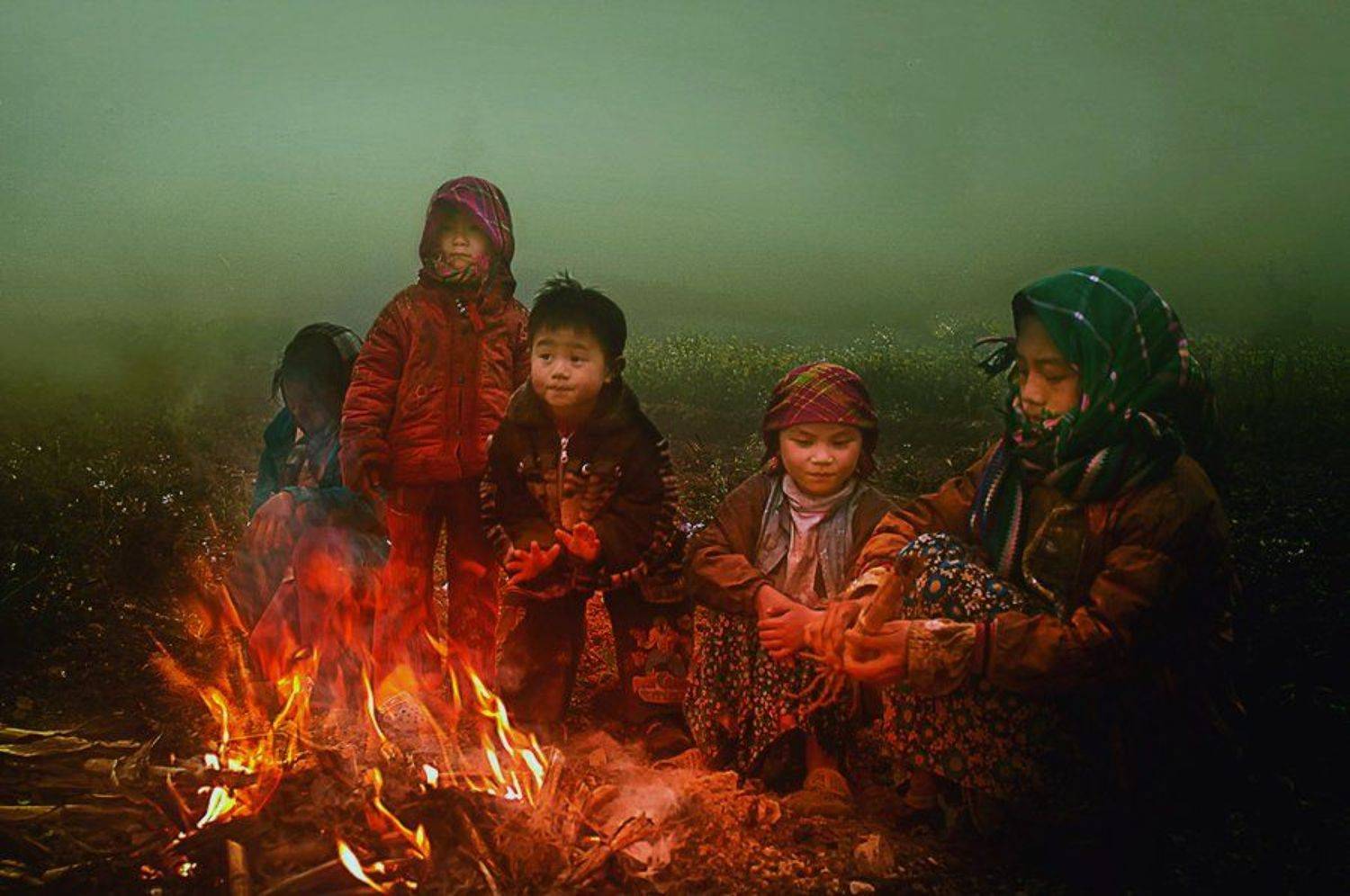 the warmth of the frost. Автор: Hai Trinh Xuan hai, вьетнам, Hai Trinh Xuan