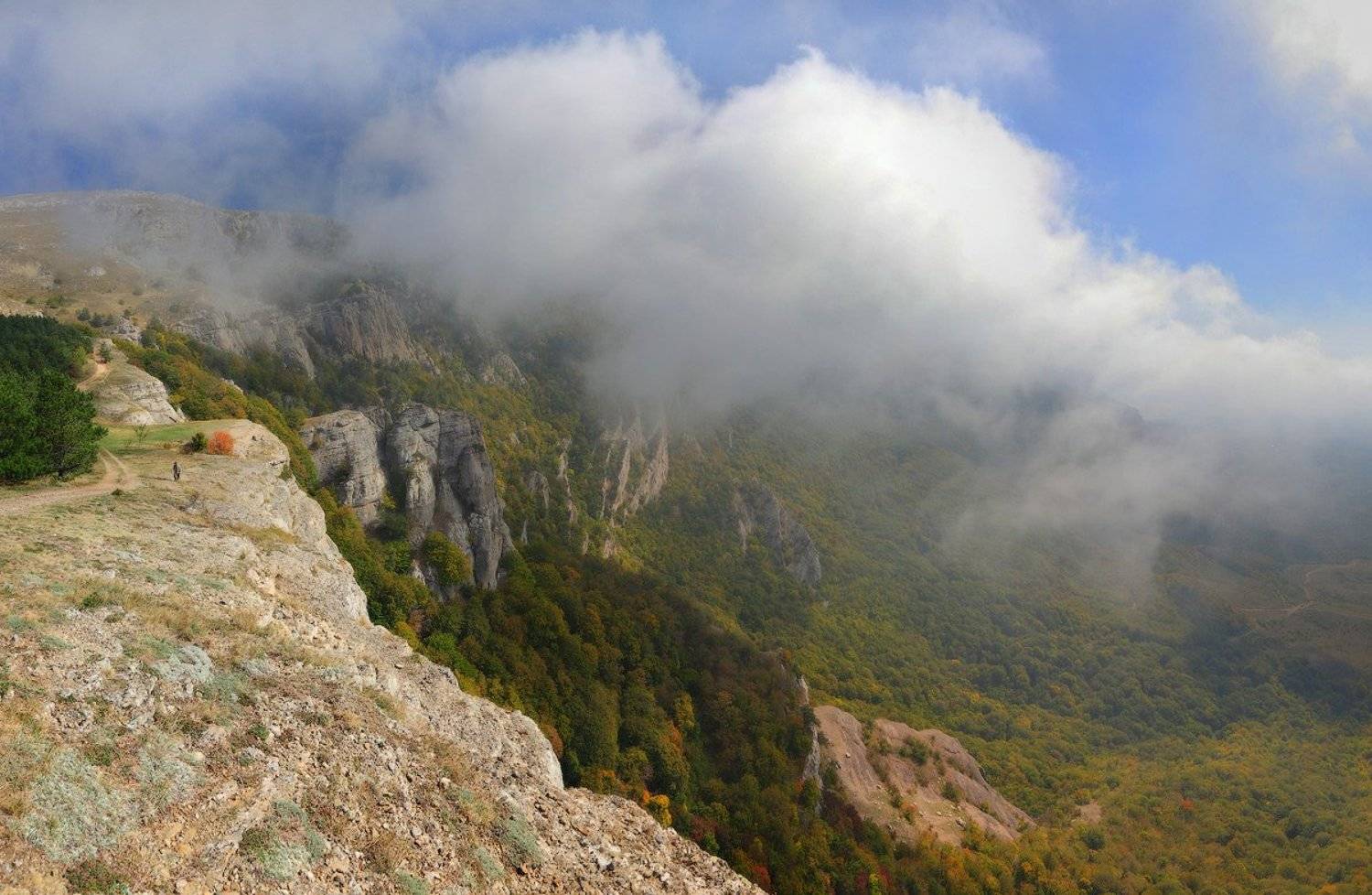 Тучко для Демерджи. Автор: Михаил Псарёв крым, туча, демерджи, горы, лес, сиськи, Михаил Псарёв